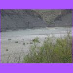 Yellow Stone River - My Backyard.jpg